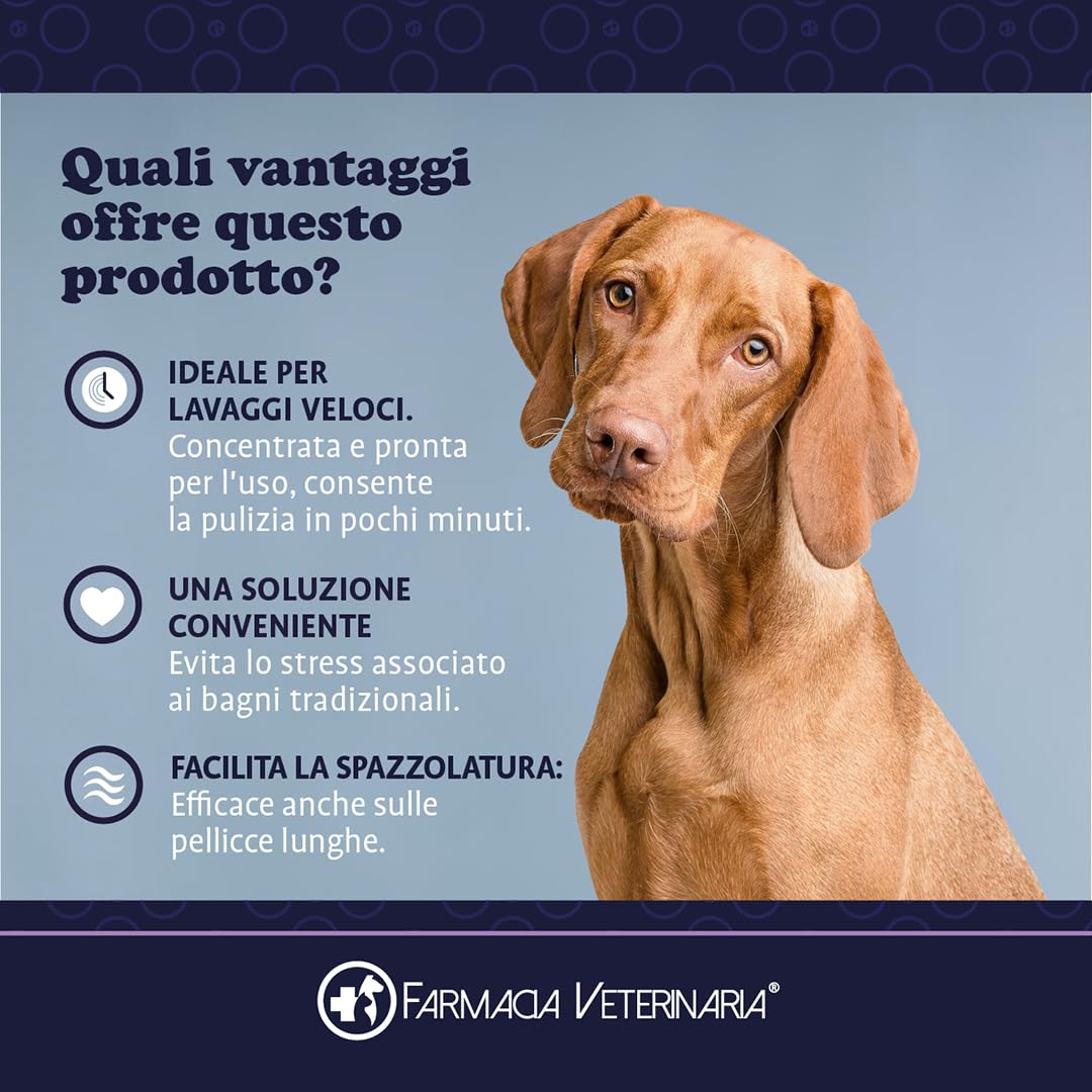 Farmacia Veterinaria Shampoo Secco per Cani - Privo di Parabeni e Coloranti - Shampoo per Cani Profumato e Senza Risciacquo - 250 ml, Prodotto in Italia