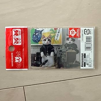 懐かしのなめ猫の免許証です。（未使用） Amazon.co.jp: 元祖昭和56年当時モノなめ猫なめんなよ 未使用