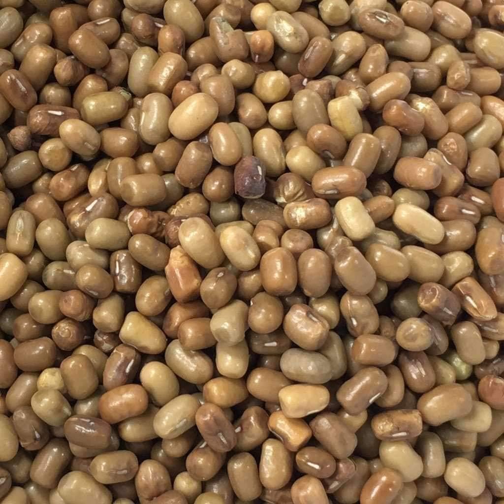 Organic Moth (Muth) Bean Whole (Turkish gram/Dew bean) 1kg