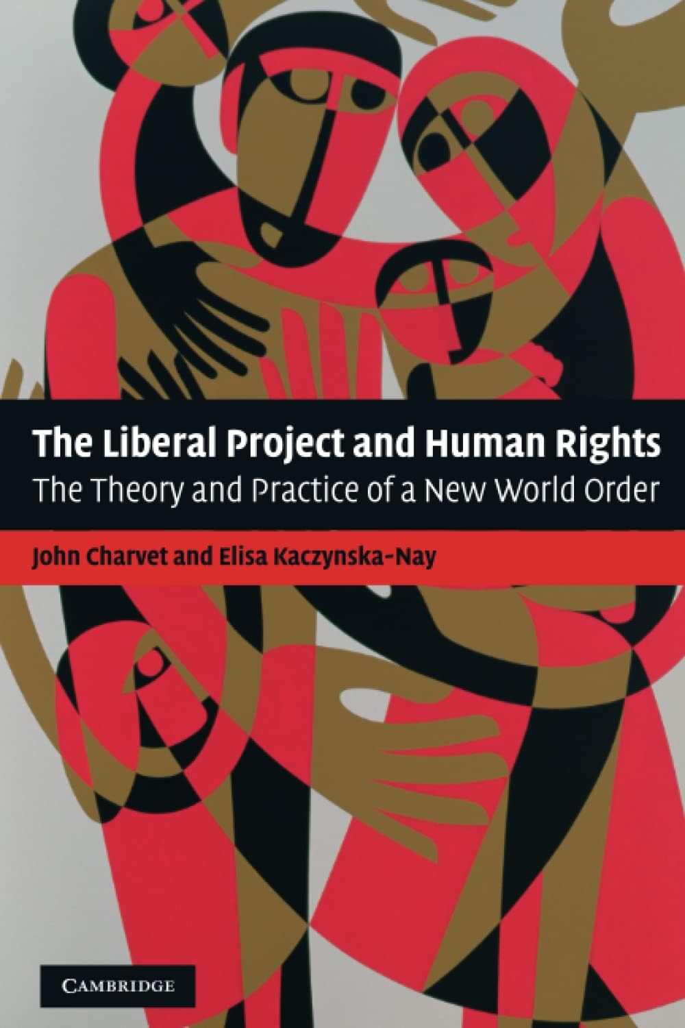 Buy The Liberal Project and Human Rights: The Theory and Practice of a New World Order — BookShops.in