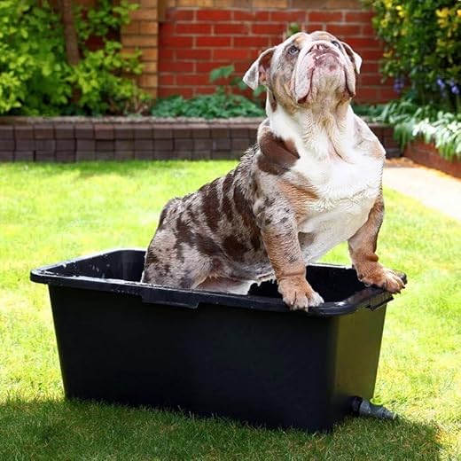 Multi-Purpose Dog Bathing Tub