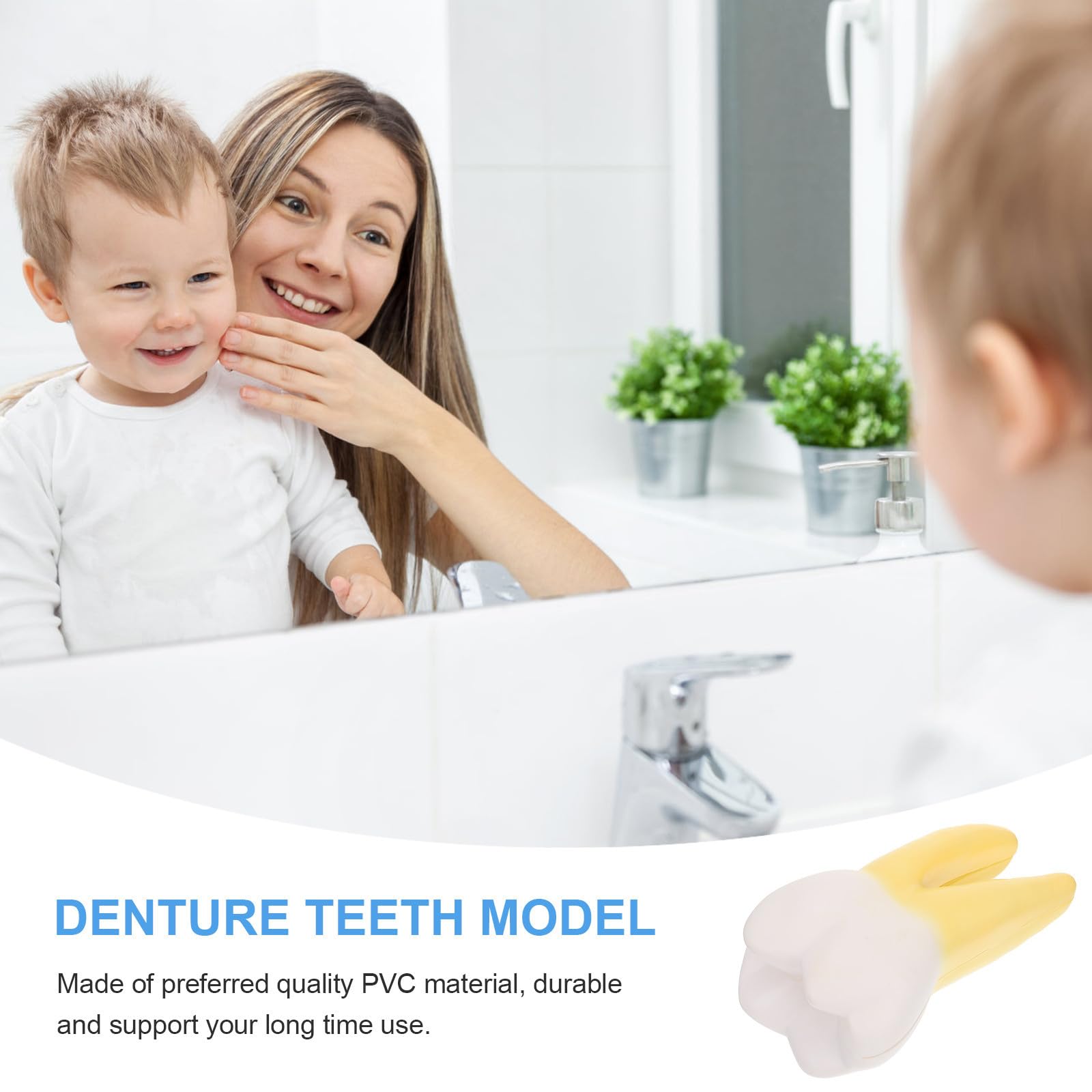 OUNONA Anatomisches für Zahnärztliche Demonstration und Ausbildung Molarenmodell aus Pvc Leichtes Tragbares Modell für Dentalunterricht und Kliniken