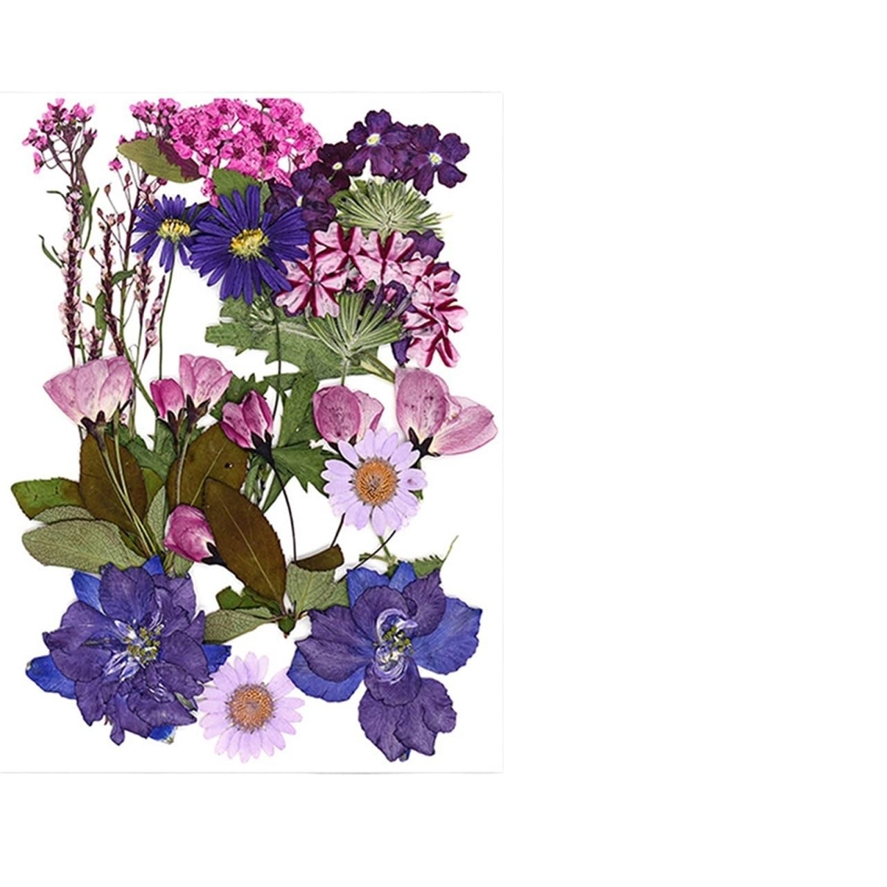 Gepresste Blumen 2 Stück getrocknete Blumen, gepresste