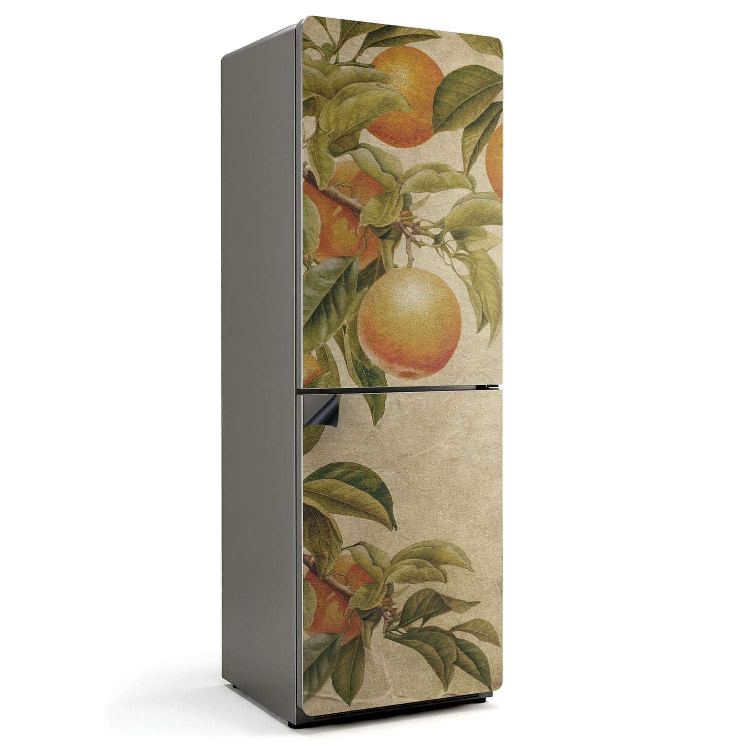 Tapis magnétique de cuisine 60x180 au nettoyage facile et imperméable motif branches fruits