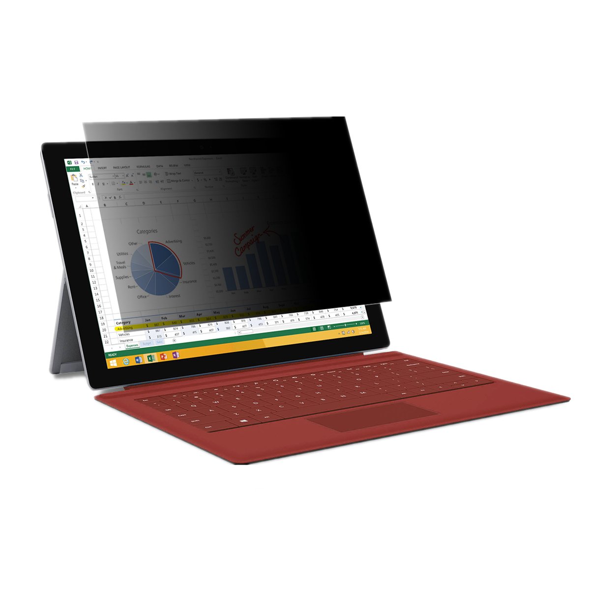 Privacy - Filtro Privacy per Laptop/Notebook da 17,3"