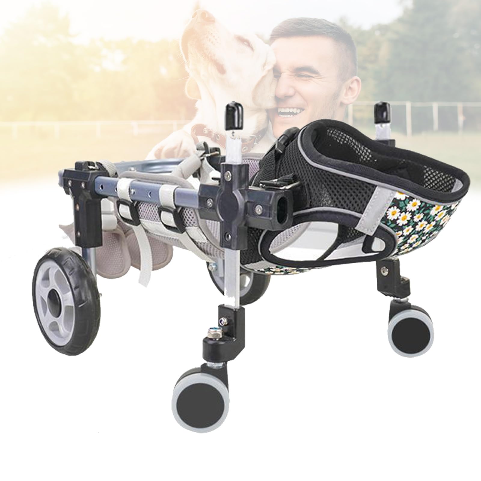 Fauteuil roulant réglable pour chien aide mobilité hanches et pattes arrière