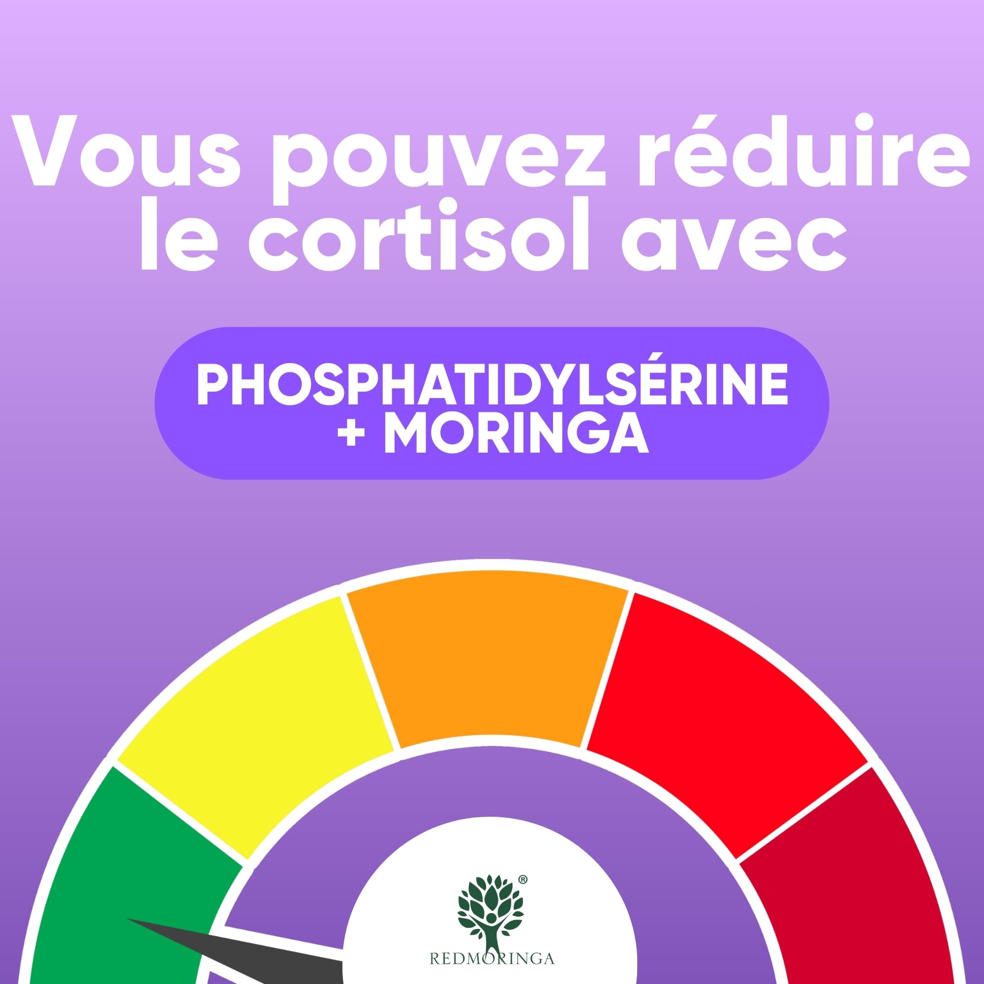 LOW CORTISOLO – Phosphatidylsérine 450 mg + Moringa Oleifera BIO | Pour abaisser le cortisol, ventre de stress | Complément mémoire et concentration | 150 gélules végétales Made in Italy | RedMoringa