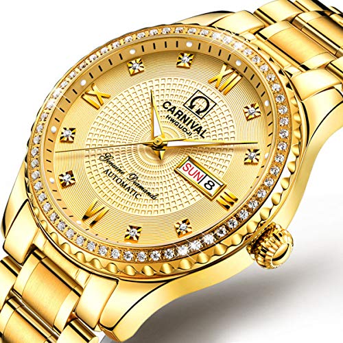 Preisvergleich Produktbild Carnival Herren Uhr Automatik Männer Mechanische Skelett Edelstahl Armbanduhren Mann Designer Analoge Coole Steampunk Mode Uhren,Colorg
