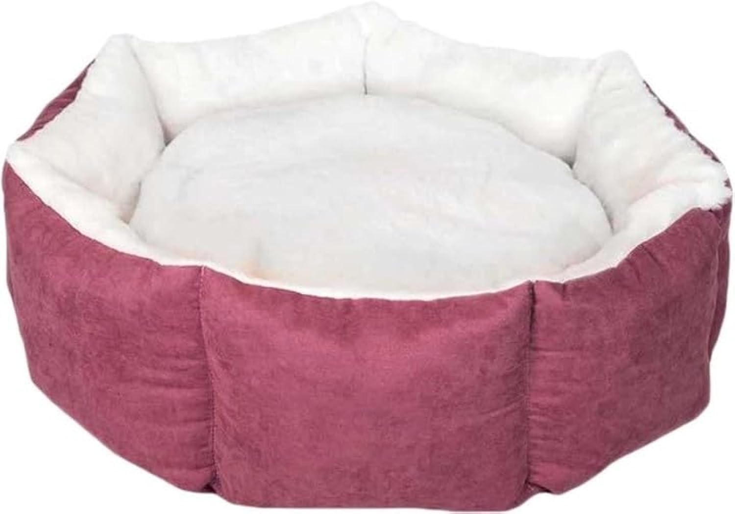 كانين سرير الحيوانات الأليفة جو كب كيك، مقاس متوسط