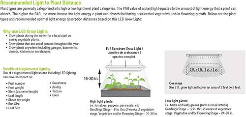 Miniatura 7 de Feit Electric Bombilla LED de espectro completo A19GROWLEDG2, equivalente a 60 W, A19, no regulable, para cultivo de plantas, verde (paquete de 2)
