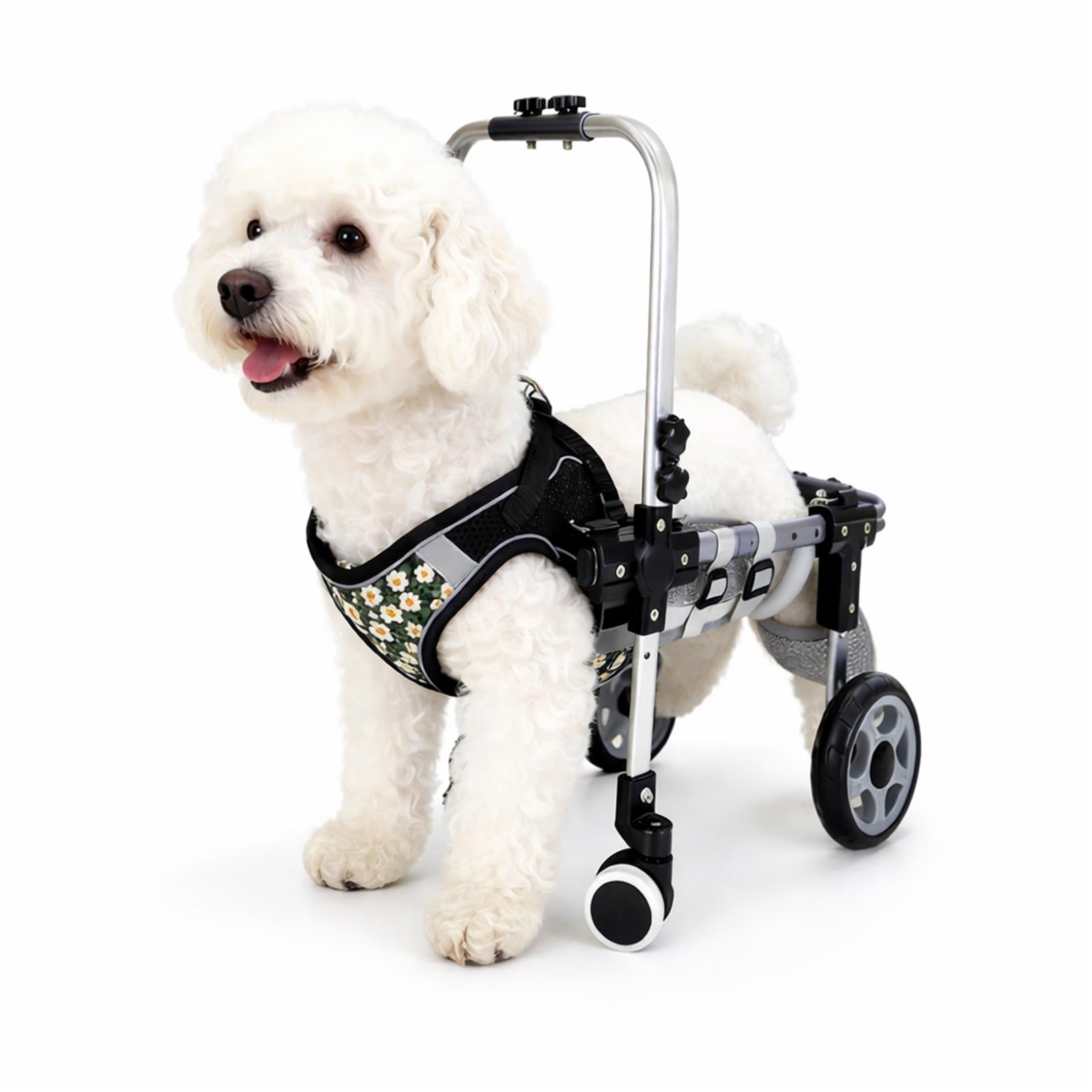CASOME Adjustable 4-Wheel Dog Wheelchair For Front & Hind Legs – Lightweight Mobility Aid For Elderly Dogs – EVA Wheels For Comfortable Mobility & Easy Adaptation – Fits Small Breeds(Black4wheel,XS) — image 1