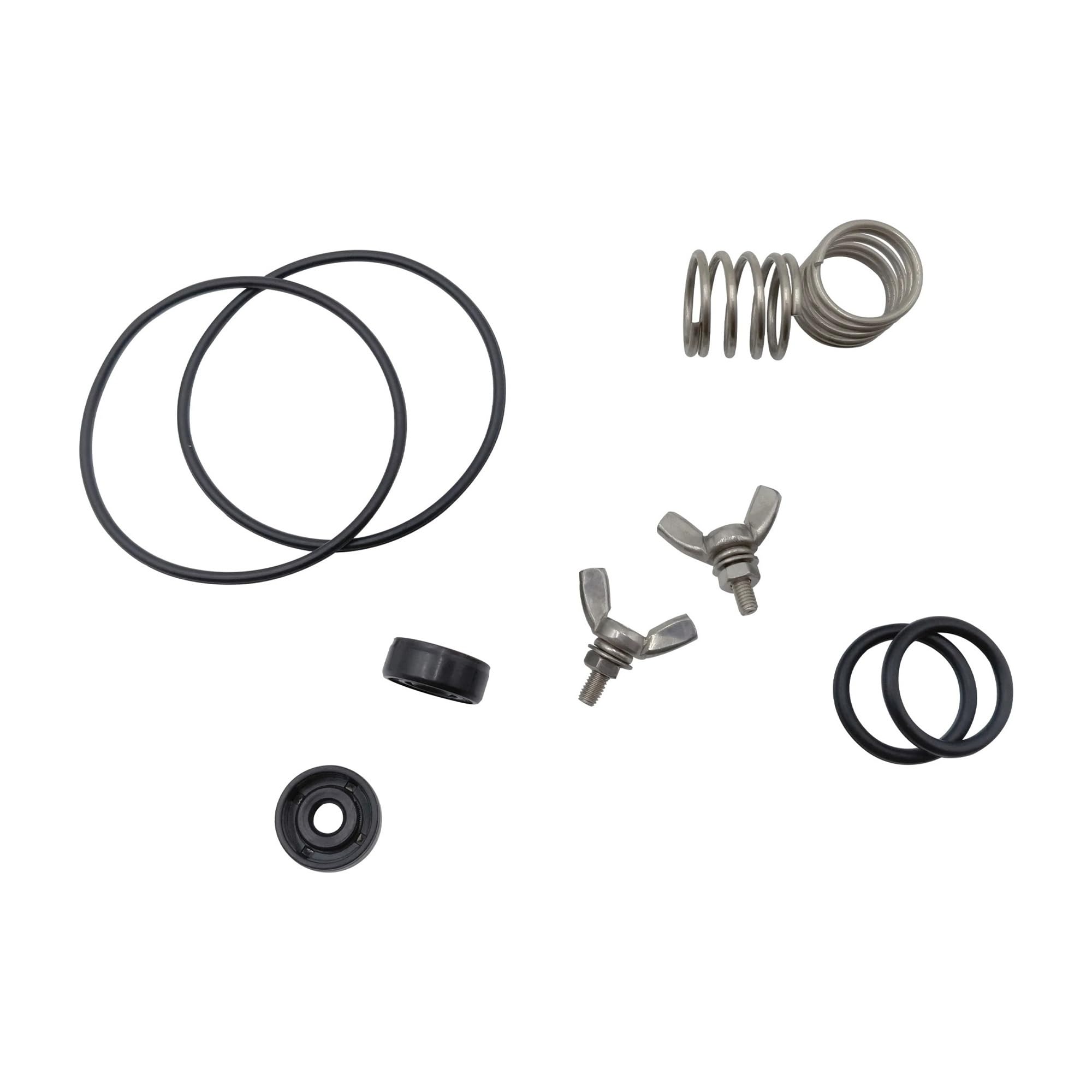 for Parti di Riparazione della Pompa 'Acqua del Drone Agricolo T40 Sostituzione del Kit di Anello di Tenuta con Vite A Molla(1 Set)