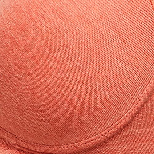 Image of Max Cotton Women's Solid Padded Non-Wired Bra