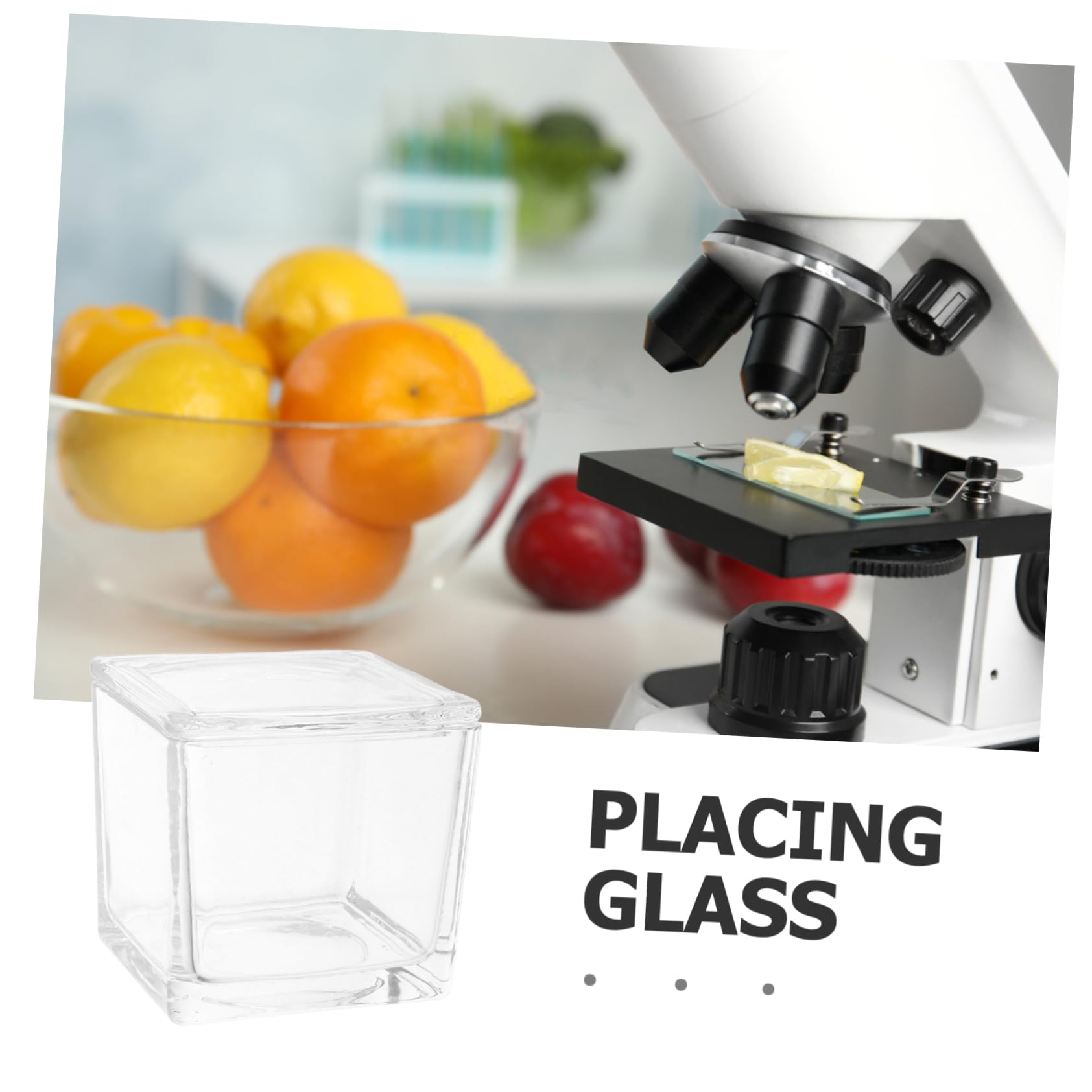 Transparentes Glas Färbegefäß mit 30 Objektträgern Mikroskopzubehör für Kinder Vertikales und Rundes Design Stabile Färbeumgebung für Biologieunterricht