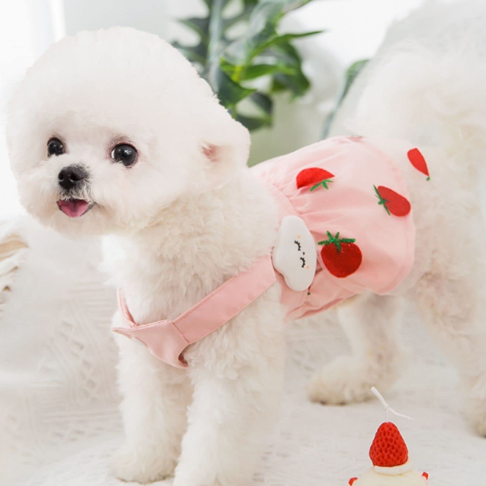 Cute Dog Princess Dress Dog Dress Cat Dress Suit Soft Breathable Dog Pure Cotton Fruit Skirt and Dog Summer Dress for Small Medium and Large Dog Girl Puppies Lightweight Pet Dress
