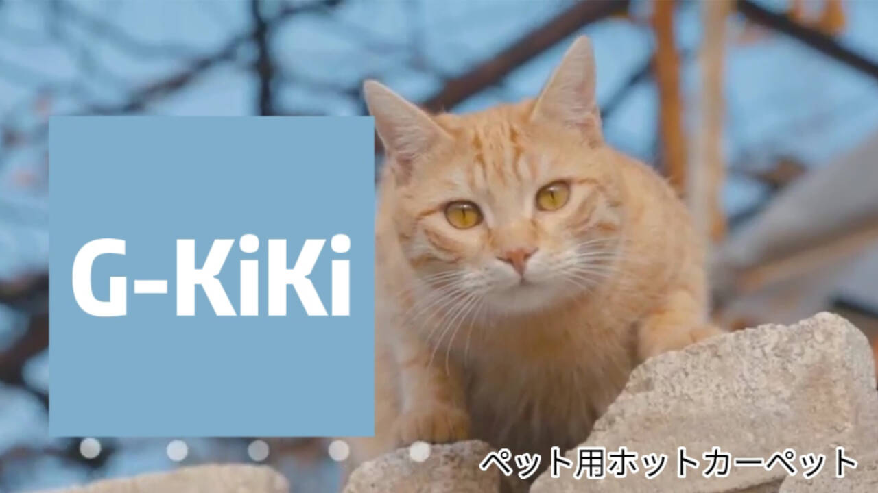 Amazon | ペット用ホットカーペット ベッドマット 業界初リモコン搭載