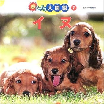 JP Oversized ????????<7>?? (???????? (7)) Book