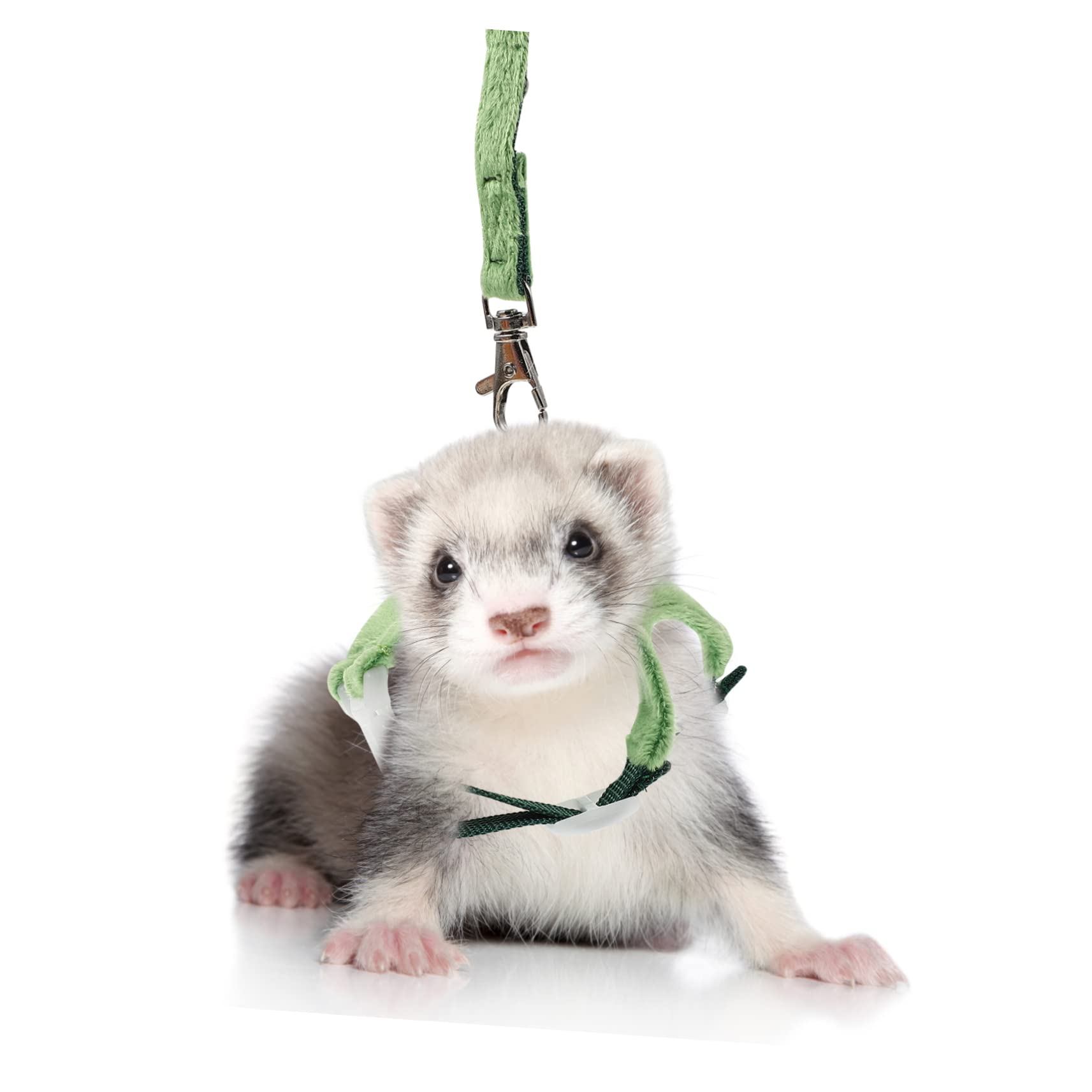 VANZACK 2pezzi Pettorina e Guinzaglio Per Furetti Design Cartoon e Leggera Guinzaglio Per Piccoli Animali Traction Rope Wear-resistant Facile Da Indossare e Comodo Da Utilizzare