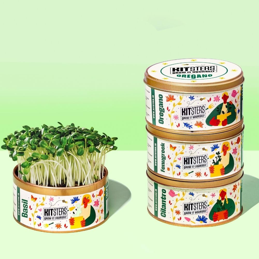 KITSTERS DIY Grow in a Can – Pack of 4 (Basil, Cilantro, Fenugreek, Oregano) | Grow Fresh Herbs at Home | Complete Gardening Kit | Ideal Birthday Gift | Fun Activity | Video Workshop Included