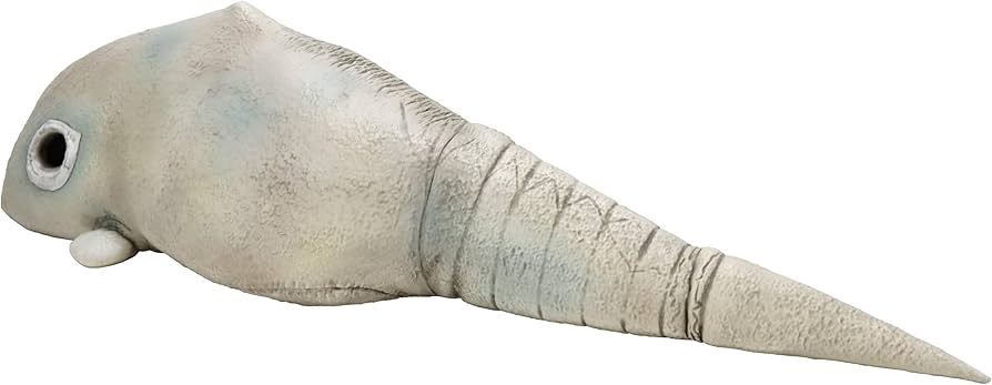 Amazon.co.jp: キャラクターコンテンツプロダクション(Ccp) 1/6特撮