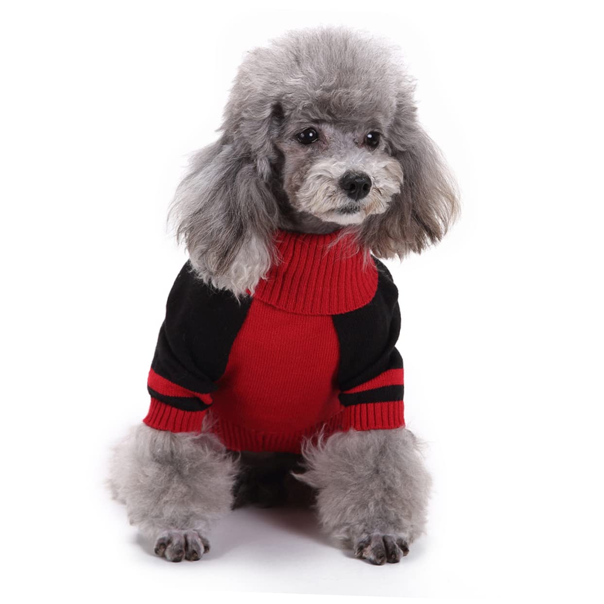 Angoily 3 Pezzi Costume Da Teschio Per Cani Halloween Vestito Per Animali Domestici Taglia L Unico Di Teschio E Zucca Per Feste E Foto
