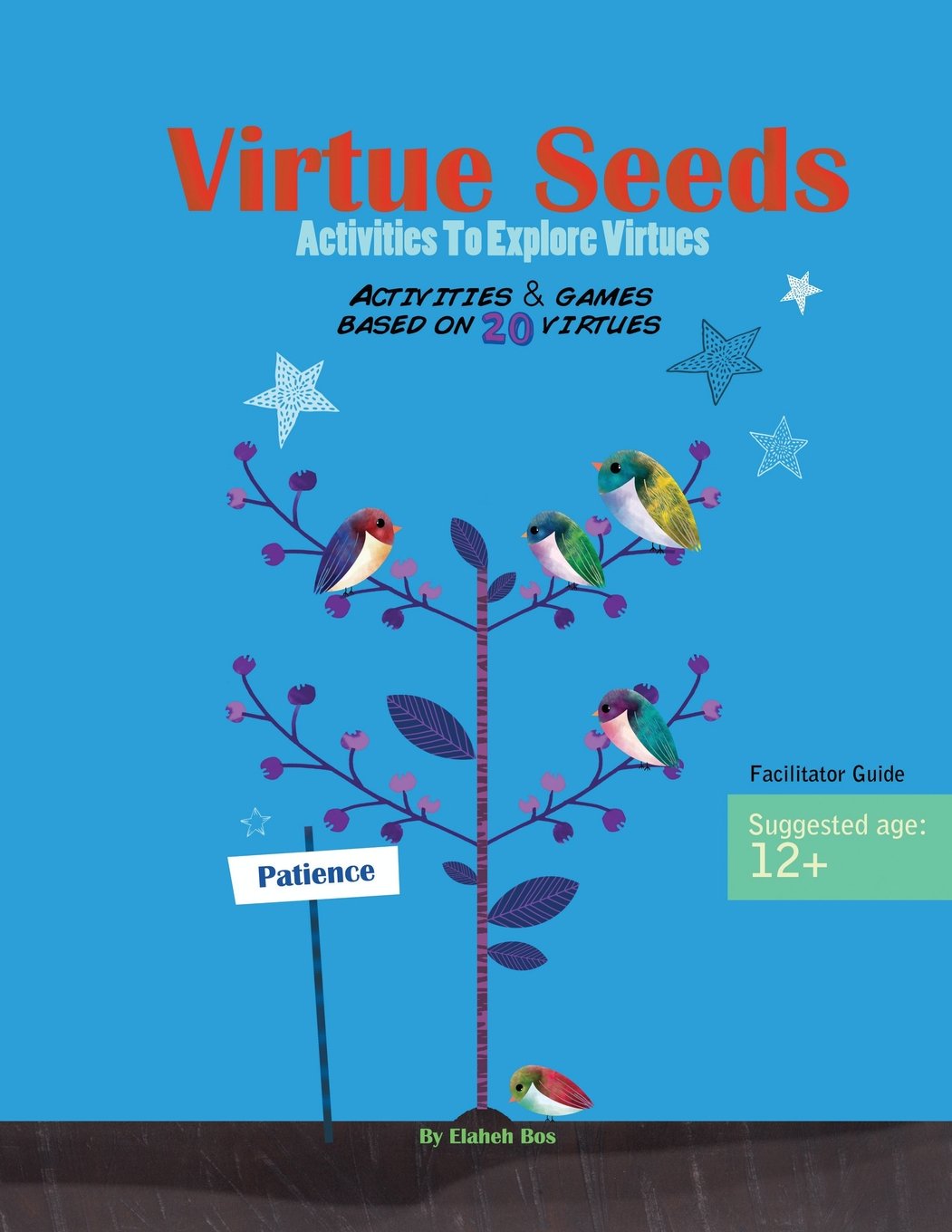 Virtue Seeds - Ages 12+: Activities to explore virtues