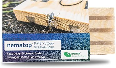 Dickmaulrüssler bekämpfen | e-nema Fangbrett mit SC Nematoden für 5 m² | nematop Käfer-Stopp