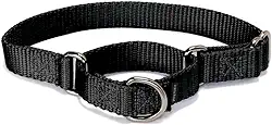 PetSafe Coleira Martingale de 2,54 cm médio, preto
