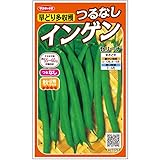 サカタのタネ 実咲野菜7075 インゲン 早どり多収穫つるなしインゲン セリーナ