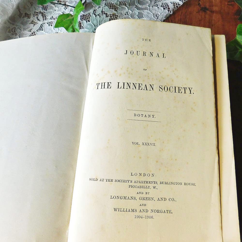 Amazon.co.jp: +.。*゜+ 1906年 英国の植物学の古書 アンティーク