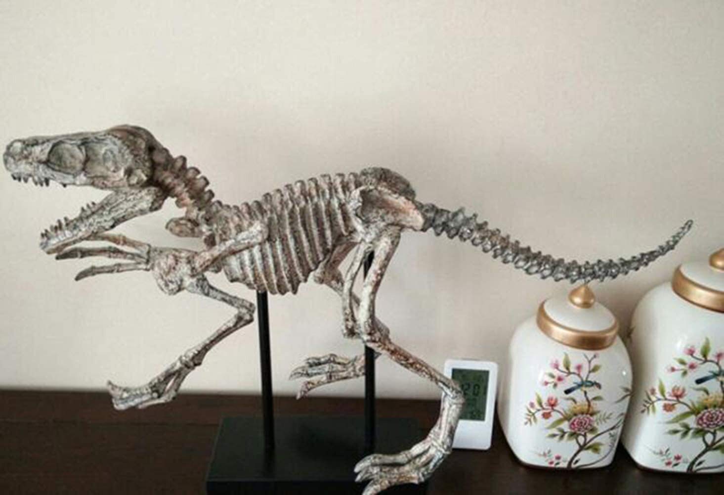 Escultura Escultura De Hueso De Dinosaurio, Esqueleto Fósil De Dinosaurio Modelo Arte Estatua Decoración del Hogar Artesanía Adorno De Escritorio 78 * 45 Cm Decoración De Estantería