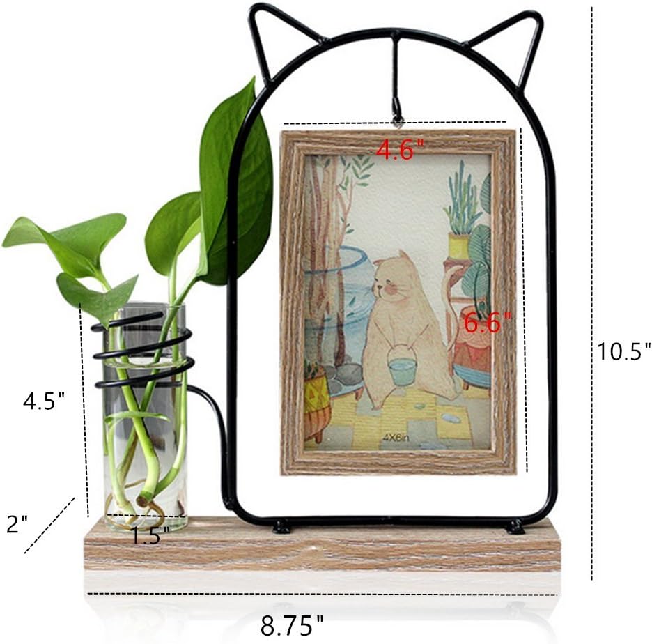Leoyoubei Black Metal Cat Head Shape Double-Sided Hanging Picture Frame Brown Holds 2 Pcs 4x6 Inch Vertical Photos With Glass Front for Desk,With Hydroponics Plants Glass Vase-Wedding