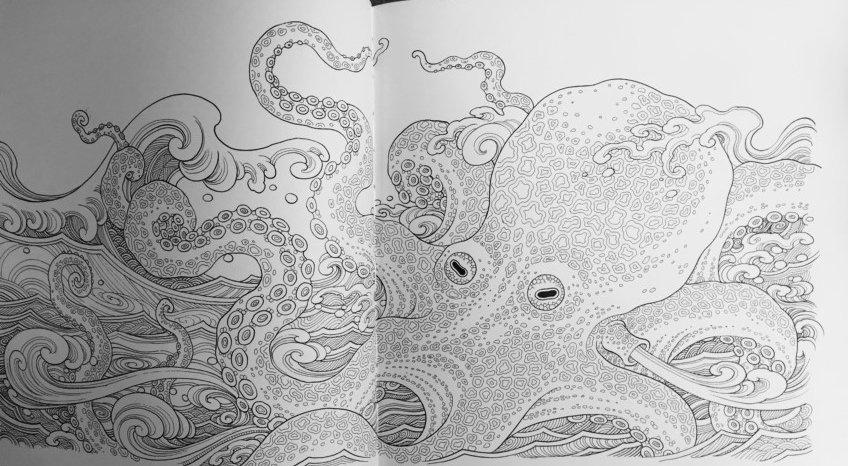 Amazon.com: Color Odyssey: A Creative Coloring Journey: 9781942021971 ...