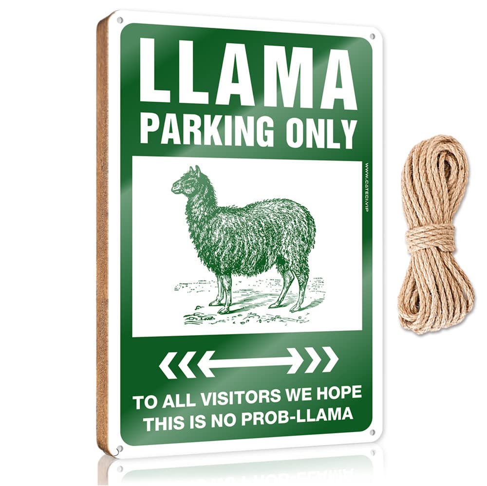 FRINTOXA Outdoor Wooden Signs Warning My Sense Of Humor Might Hurt Your Feelings! Wooden Sign(23X35CM)