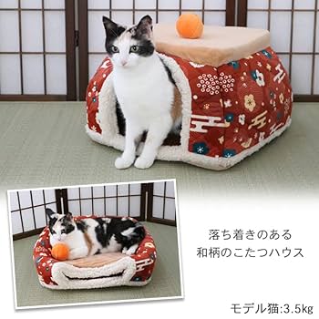 Amazon | ペットパラダイス 犬 猫 ドーム型ベッド ドーム型