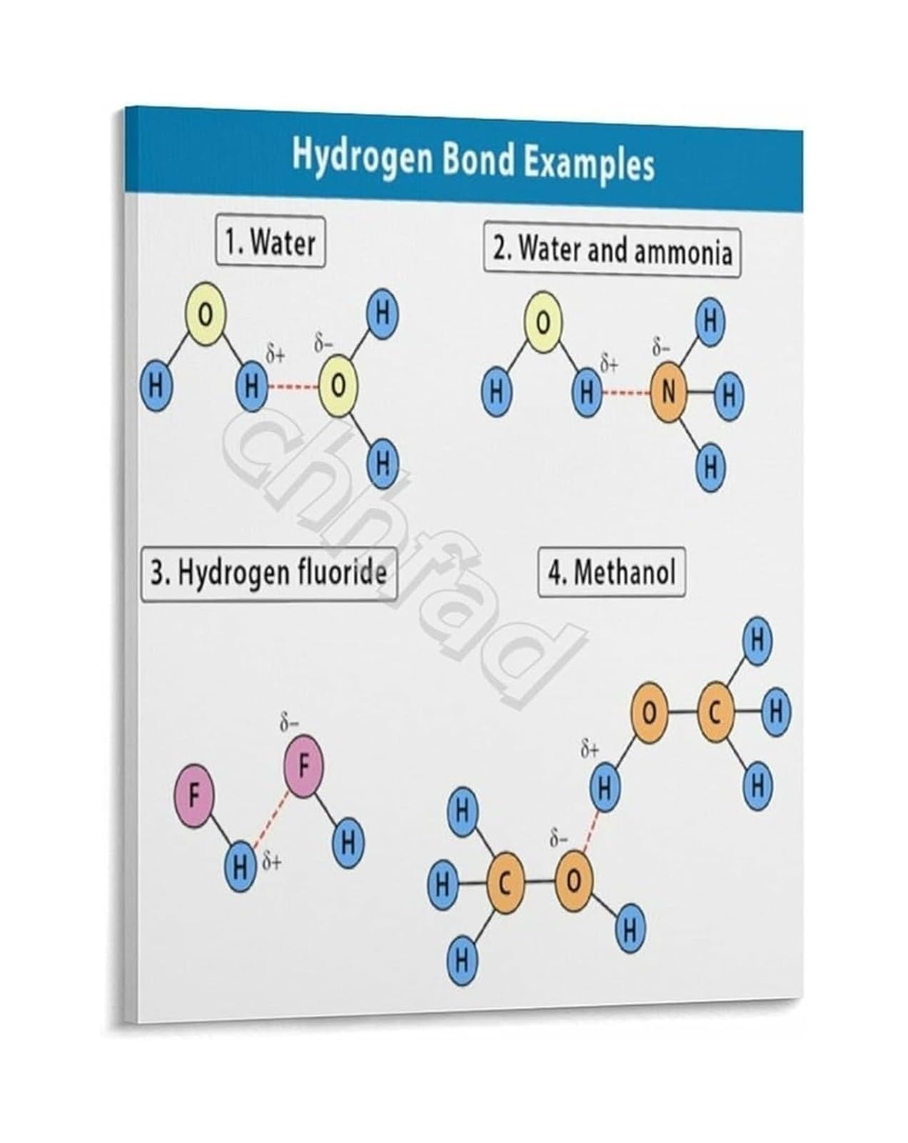 MQXFCZUX Chemistry Study Guide Poster Hydrogen Bonding Diagrams and Examples for College Students Framed,08x12inch(20x30cm)