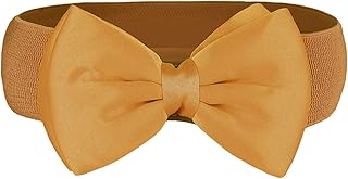 Trjgtas Accesorios elásticos for cinturón de Lazo de Gasa elástica for Mujer, Faldas Decorativas versátiles, Tela for niños, Corbata y cinturón tostados (Color : Brown, Size : 85)