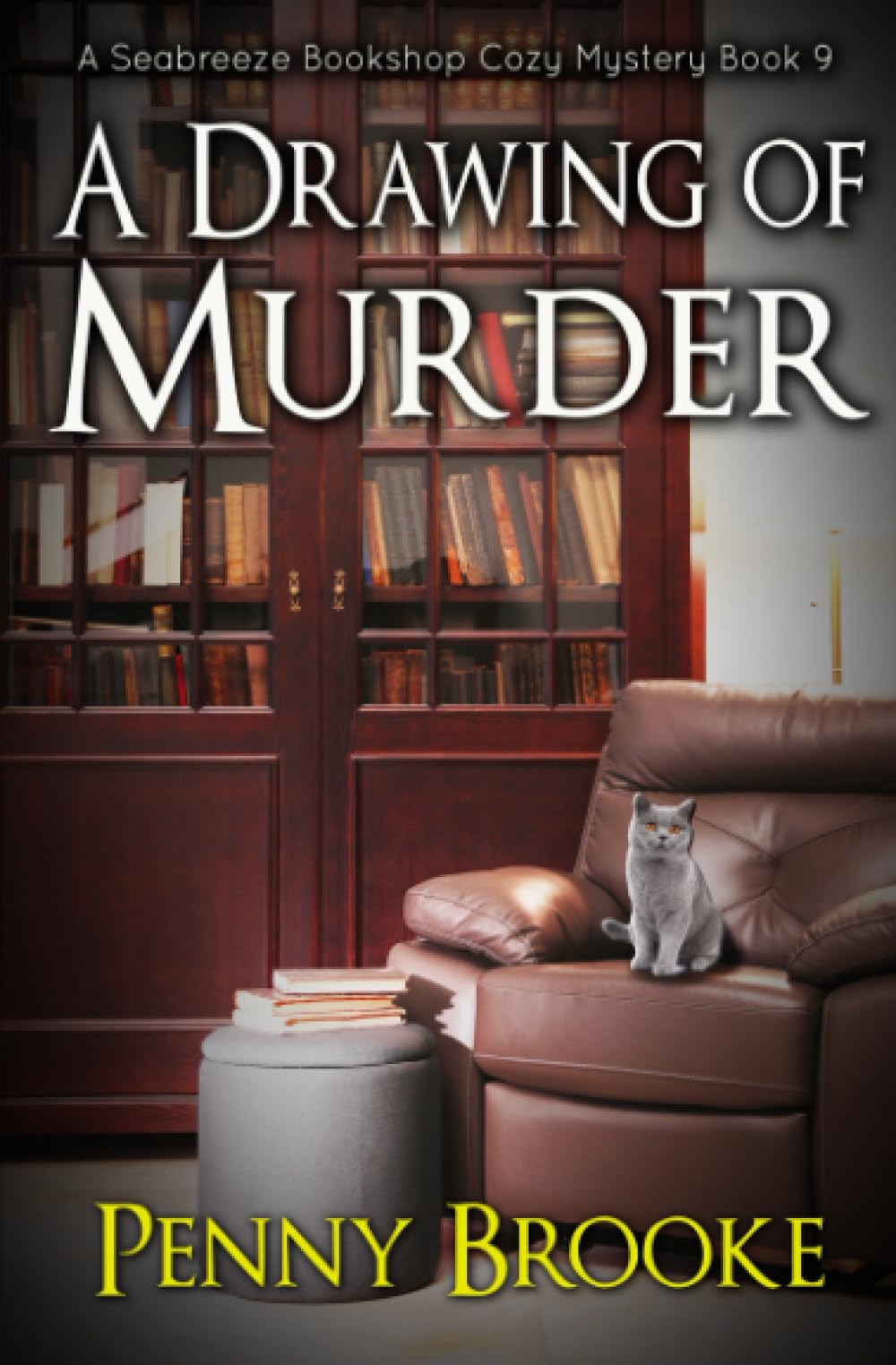 A Drawing of Murder (A Seabreeze Bookshop Cozy Mystery Book 9)