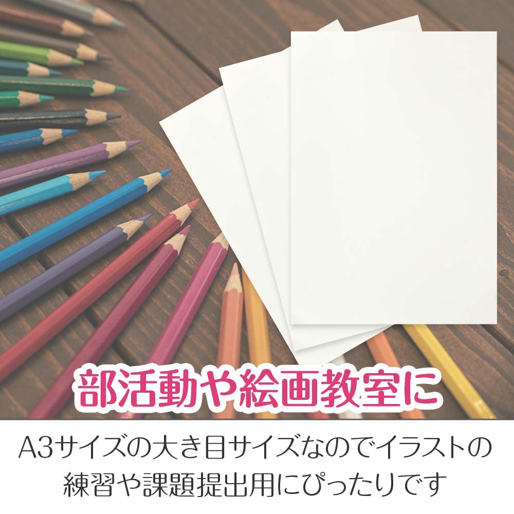 Amazon.co.jp: ケント紙 画用紙 絵具 水彩画 色鉛筆 デッサン