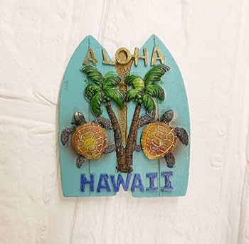 ハワイから取り寄せたイプ Amazon.co.jp: ハワイ直輸入ツインサーフボード＆ホヌ／HAWAII