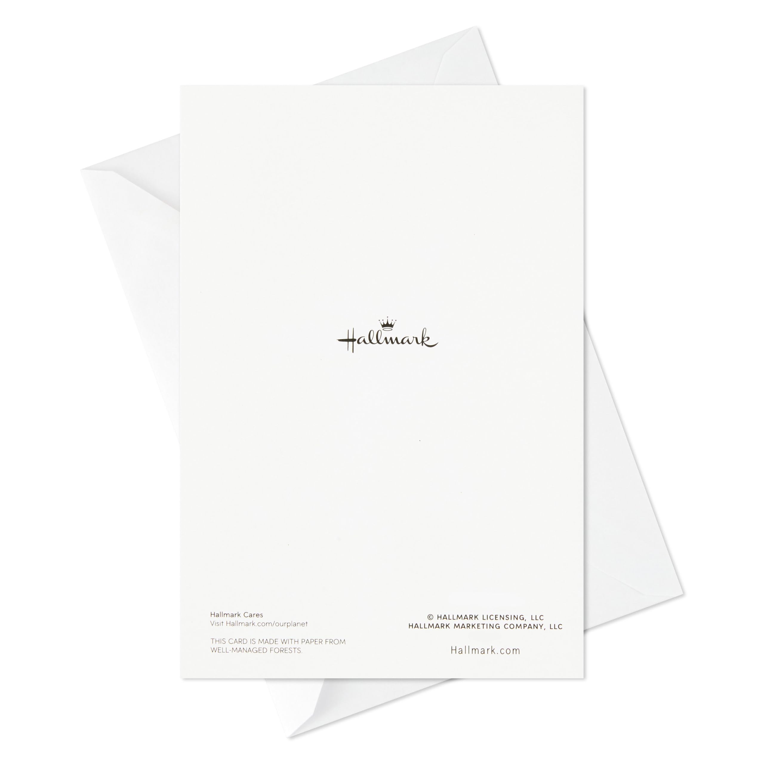 Hallmark Assortiment de cartes pour toutes occasions : 48 cartes avec enveloppes (anniversaire, remerciement, félicitations, condoléances, fête prénatale, vierge)