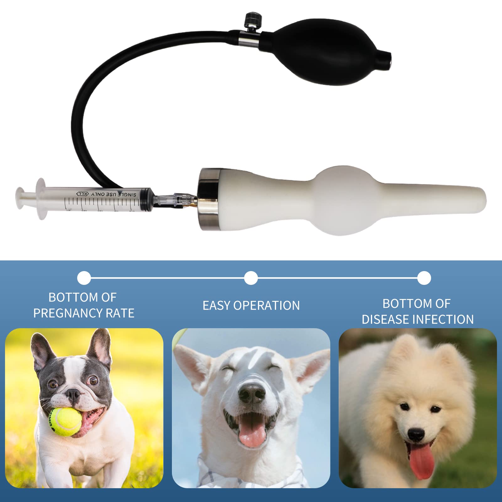 How Much For Artificial Insemination For Dogs