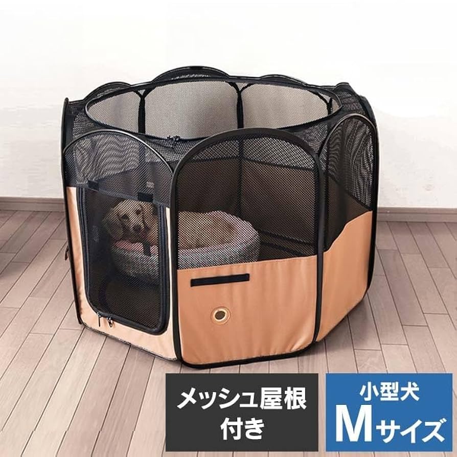 【水巳】ページ　　リクエスト商品のため BE029M02-GRN-2024F-m-01-
