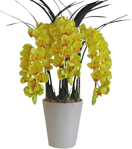 Amazon 造花 リアル 洋ラン オーキッド 鉢植デザイン 光触媒 空気清浄 インテリアフラワー シンビジューム S3本立 イエロー 白鉢 造花 オンライン通販 Amazon 造花 リアル 洋ラン オーキッド 鉢植デザイン 光触媒 空気清浄 インテリアフラワー シンビジューム S3本立 イエロー 白鉢 造花 オンライン通販