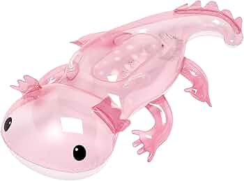 ウーパールーパー様 61T9yn7jX7L._AC_UF350,