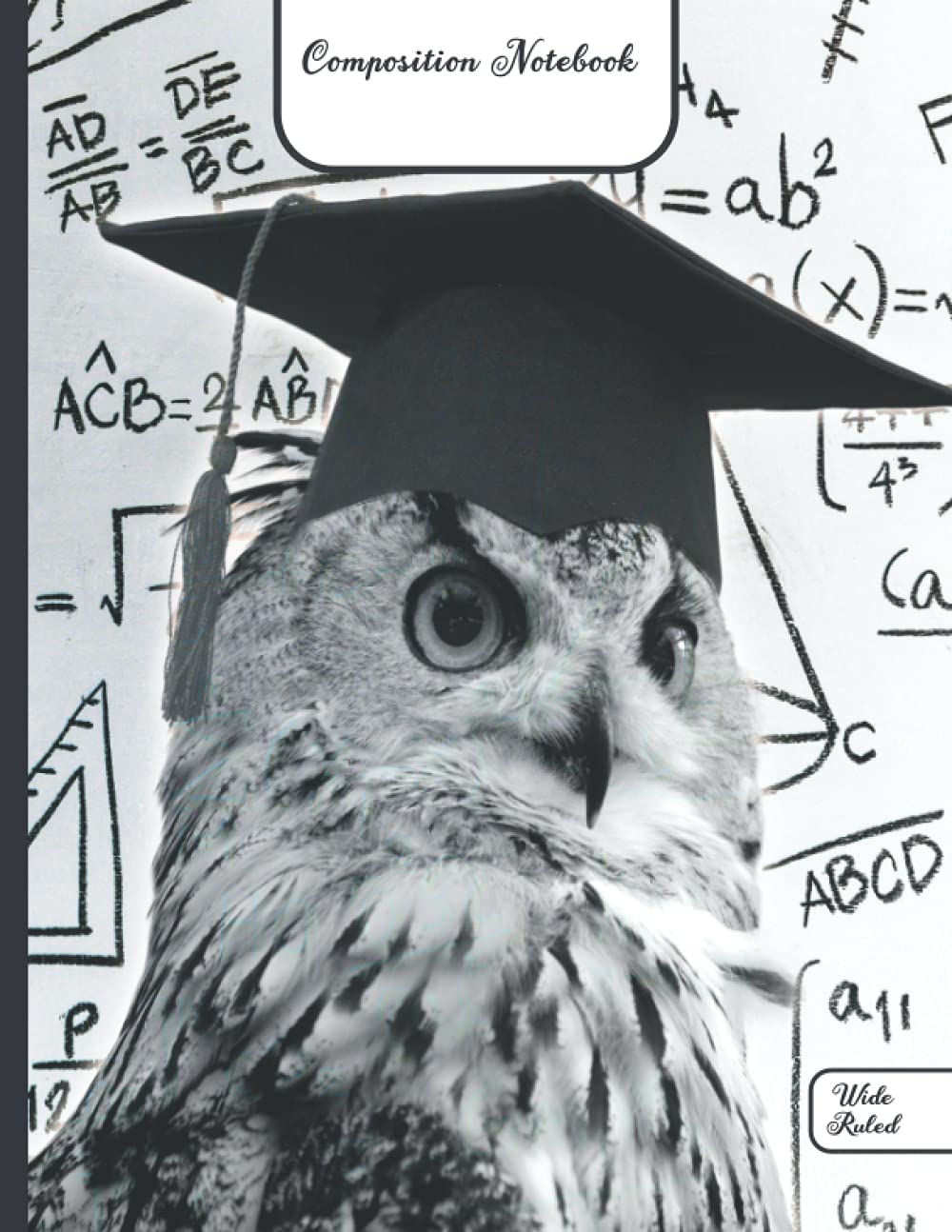 Wise Owl Composition Notebook: Wide Ruled Journal 8.5x11 110 Pages Student Exercise Book