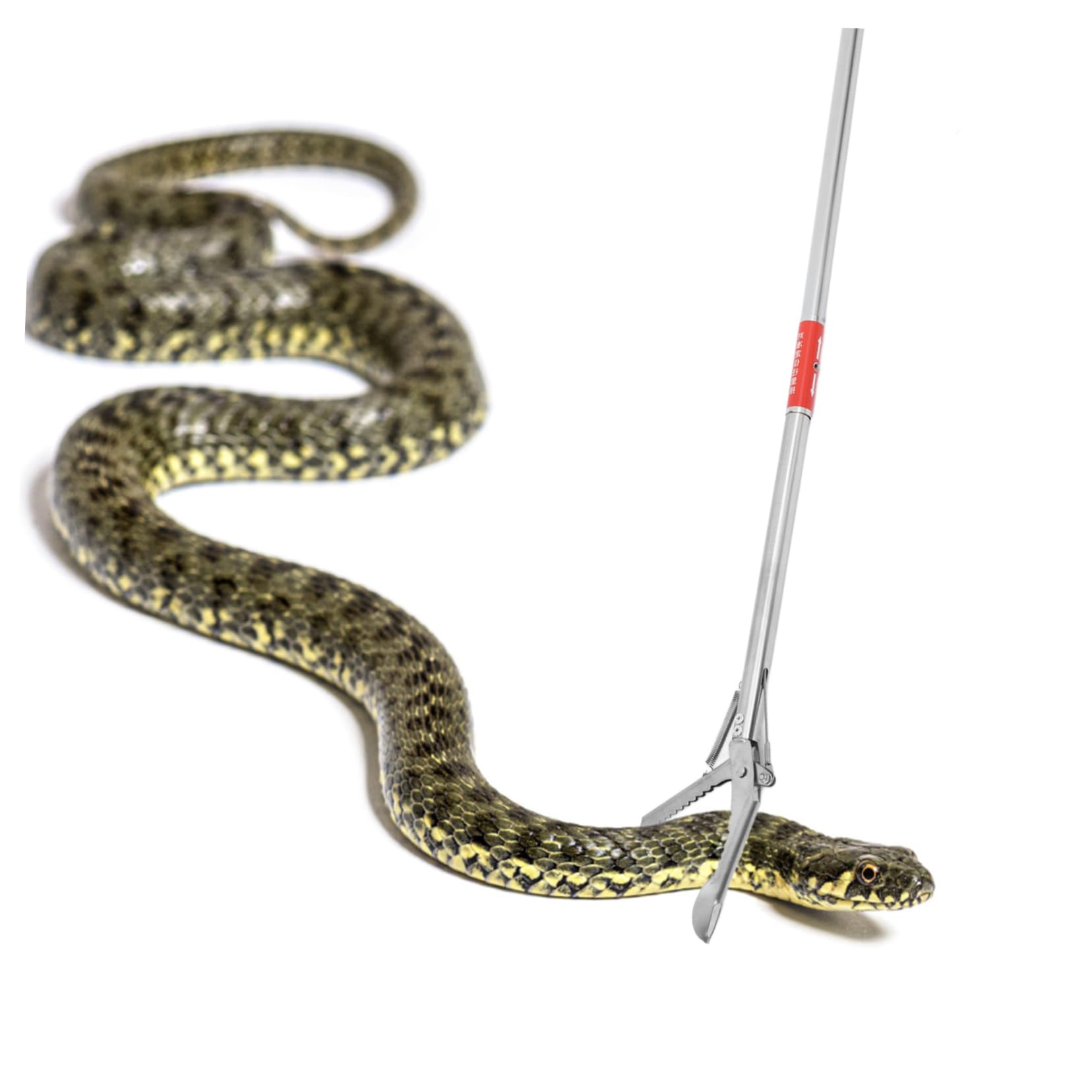 INOOMP 4piezas Pinza De Serpientes De Inoxidable Herramienta De Captura para Reptiles Plegada Agarre Seguro y Manejo Práctico para Entusiastas Vida Silvestre