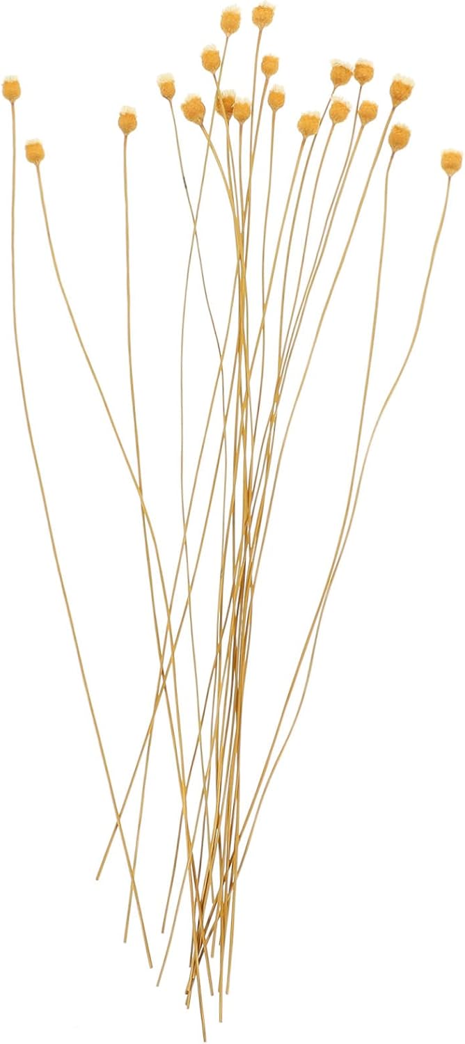 Didiseaon 100pcs Rattan Diffuser Sticks for Natural Fragrance Reeds for Office and Yoga Rooms Quick Absorption and of Scents