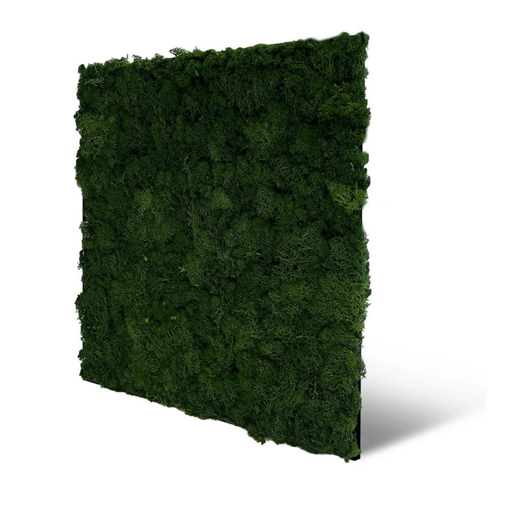 JANGAL Modular Wall Nature Moos Paneel (52 x 52 cm)