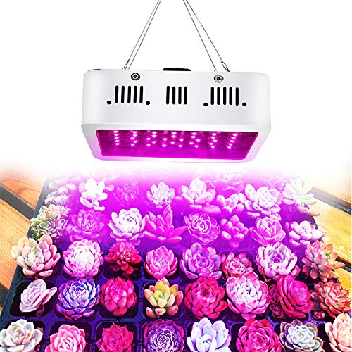 1000W Grow Light Full Spectrum,LED Plant Growth Light Full Spectrum Growing Lamps Panel Plant Growing Lamps for Hydroponic Suitable for Indoor Sowing And Veg Hydroponics